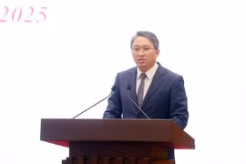Party Central Committee member and Minister of Justice Nguyen Hai Ninh speaks at the event (Photo: VNA)