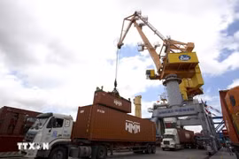 Handling cargo at Tan Vu port in Hai Phong city (Photo: VNA)