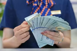 The State Bank of Vietnam sets the daily reference exchange rate for the US dollar at 24,927 VND/USD on May 8. (Photo: VNA)