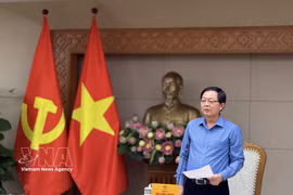 Deputy Prime Minister Ho Quoc Dung speaks at the meeting (Photo: VNA)