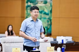 Deputy Minister of Justice Nguyen Thanh Tinh (Photo: VNA)