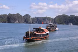 Tourists visit Cat Ba by cruise ship. (Photo: VNA)