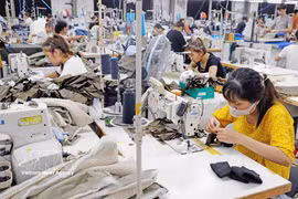 Marnufacturing garments for export at Hung Yen Jute and Garment Joint Stock Company. (Photo: VNA)