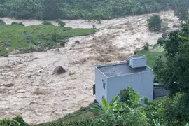 Floodwaters surge past a house in the northern province of Lai Chau, moments before it collapsed completely. (Photo: VNS/VNA)