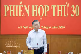 Party General Secretary and State President To Lam speaks at the meeting (Photo: VNA)