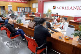 Customers conduct transactions at an Agribank office in Hung Yen province. (Photo: VNA)