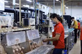 The Asian Development Bank (ADB) signs a 100 million USD loan with HDBank to expand access to finance for micro, small, and medium-sized enterprises (MSMEs) in Vietnam. (Illustrative photo: VNA)