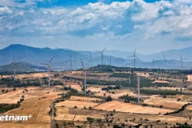 Wind power in Lam Dong province (Photo: VietnamPlus)