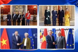 Historic milestones in Vietnam’s relations with EU, Belgium