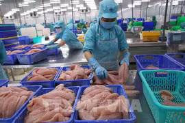 Tra fish is processed for exports. (Photo: VNA)