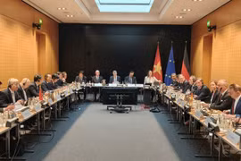 An overview of the working session (Photo published by VNA)