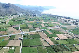 A view of the Ninh Thuan 2 nuclear power project site (Photo: VNA)
