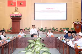 An overview of the meeting (Photo: VNA)