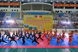A performance of traditional Vietnamese martial arts at the exchange programme. (Photo: VNA)