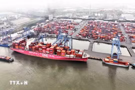 Tan Cang - Cai Mep Terminal in Ba Ria - Vung Tau province (Photo: VNA)