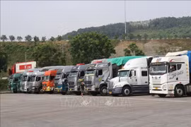 Lorries queued at the waiting yard for export at a border gate in Lao Cai province. (Photo: VNA)
