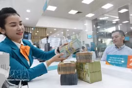 The daily reference exchange rate is set at 25,621 VND/USD on October 12. (Photo: VNA)