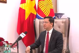 Vietnamese Ambassador to India, Nepal and Bhutan Nguyen Thanh Hai (Photo: VNA)