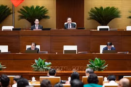 An overview of the National Assembly's discussion on May 24. (Photo: VNA)