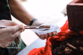 Checking a DNA sample (Photo: VNA)