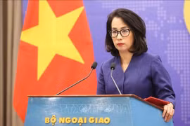 Vietnam discusses tax cooperation with EU