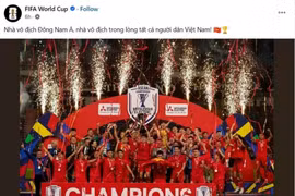 The image of the Vietnam’s national team is posted on FIFA's official social media page. (Photo: VNA)