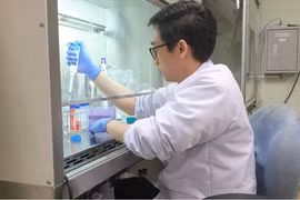 Dr. Rahmat Kurniawan at Sumatra Institute of Technology (Itera) conducts a research on compounds from mulberry plants in Bandar Lampung. (Photo: Antara)
