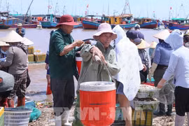 People transport purchased seafood ashore to sell at Giao Hai Fish Market in Giao Phuc commune (Photo: VNA)