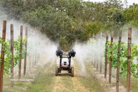 A high-tech agricultural model in China's Guangdong province (Photo: VNA)