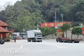 Trucks carry imported/exported goods at Huu Nghi border gate in the northern province of Lang Son. (Photo: VNA)