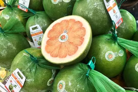 Vietnam’s green-skin pomelo has officially gained access to the Australian market. (Photo: VNA)