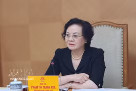 Deputy Prime Minister Pham Thi Thanh Tra at the meeting (Photo: VNA)