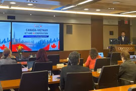 Delegates at the seminar "Canada- Vietnam: ICT and AI Cooperation" (Illustrative photo by VNA)
