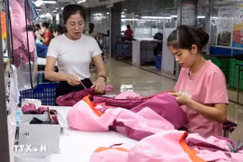 Garment production for export to the EU at TNG Garment Company in Thai Nguyen province. (Photo: VNA)