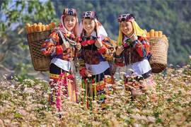 Community-based tourism has helped improve the life quality of ethnic minorities in Ha Giang province. (Photo: baodautu.vn)