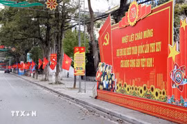 Central streets in localities across the country are adorned with flags and flowers to celebrate the 14th National Party Congress. (Photo: VNA)