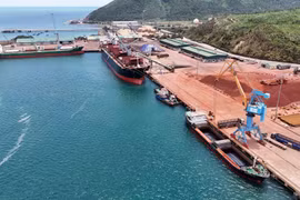 Vung Anh deep-water port in Ha Tinh province (Photo: VNA)