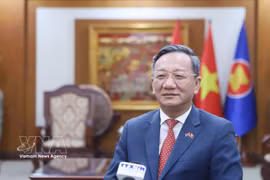 Vietnamese Ambassador to Laos Nguyen Minh Tam speaks to Vietnam News Agency (VNA) correspondents in Vientiane (Photo: VNA)