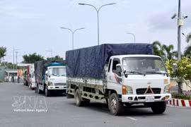 Trucks carrying goods gather and wait for customs clearance procedures at the Khanh Binh international border gate (Photo: VNA) 