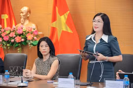 Director of the Institute for Creativity and Digital Transformation Dr. Nguyen Thi Bich Lan speaks at the opening ceremony. (Photo: VNA)