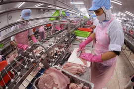 As export demand strengthens, labour shortages are becoming a growing constraint on manufacturers. (Photo: VNS/VNA)
