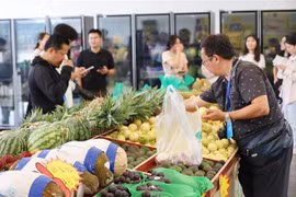 Many types of Vietnamese fruits such as durian, passion fruit are sold at the Youyi Guan, China. (Photo: VNA)