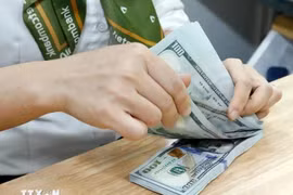 The State Bank of Vietnam sets daily reference exchange rate for the US dollar at 24,332 VND/USD on January 7. (Photo: VNA)