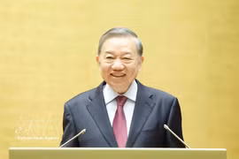General Secretary of the Communist Party of Vietnam Central Committee and State President To Lam is the head of the Central Steering Committee for Foreign Affairs and International Integration. (Photo: VNA)