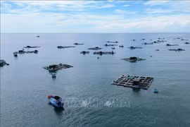 Model of farming in cages in Ninh Thuan. (Photo: VNA)