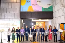 Delegates cut the ribbon to inaugurate the ASEAN Hall in Seoul (Photo: VNA)
