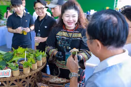 Visitors to the culinary space of the Autumn Fair 2025. (Photo: VNA)