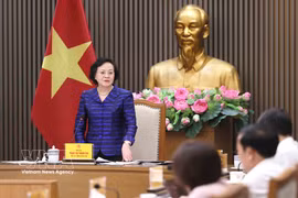 Deputy Prime Minister Pham Thi Thanh Tra speaks at the meeting (Photo: VNA)