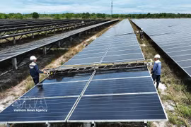 Workers clean the solar panels at Gio Thanh Solar Power Plant in Quang Tri province. (Photo: VNA)