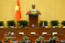 National Assembly Vice President Nguyen Khac Dinh speaks at the discussion (Photo: VNA)